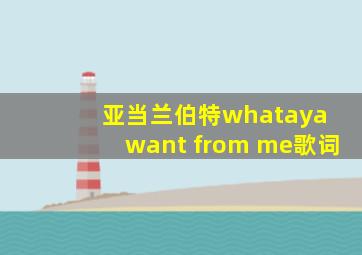 亚当兰伯特whataya want from me歌词